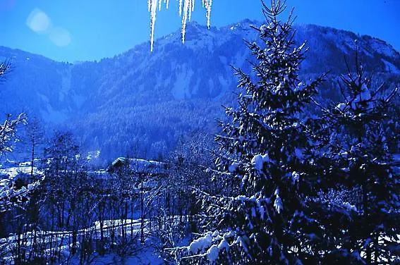 Haus Bruegge * Mellau